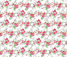 Load image into Gallery viewer, Gift Wrap Sheets - Lis Loos Style
